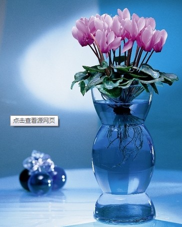 Ϸ⻨˾ṩ-ɿˮ෽